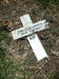 image of grave number 879282